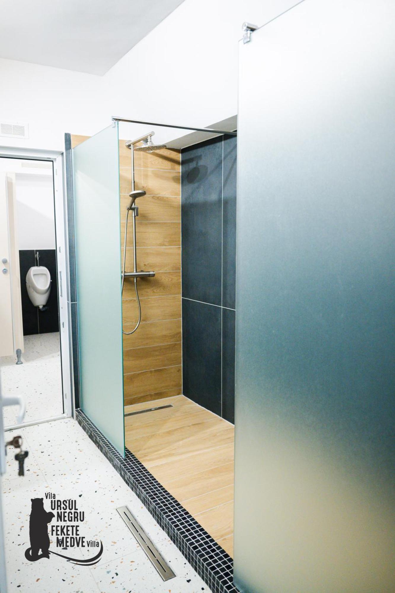 Vila Ursul Negru Sovata Luaran gambar