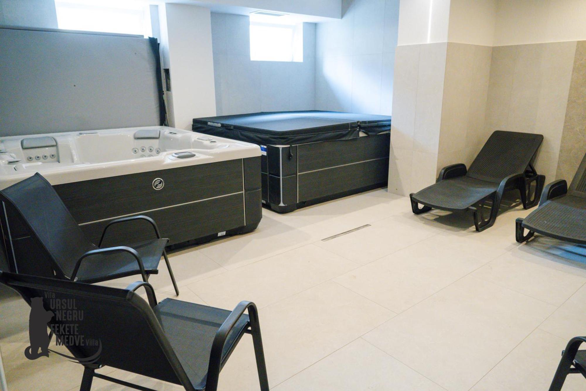 Vila Ursul Negru Sovata Luaran gambar