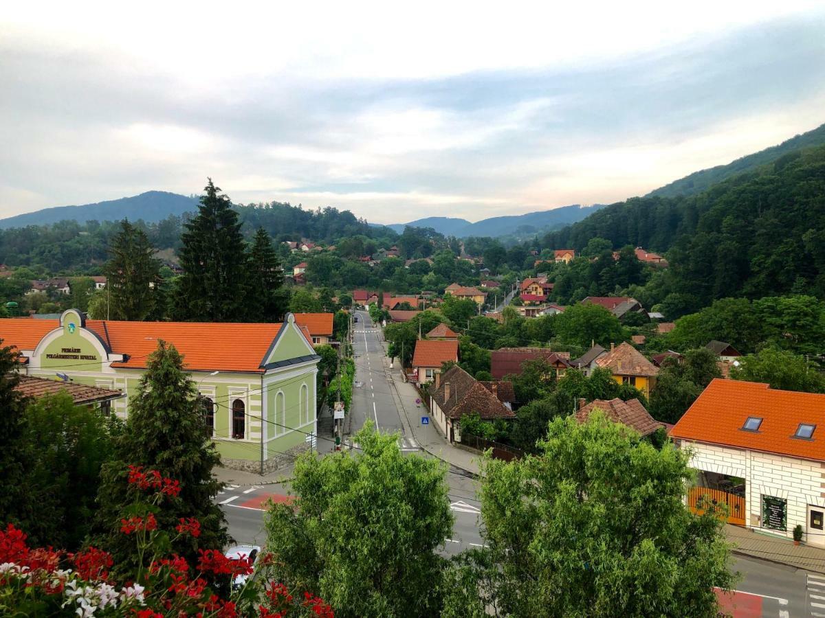 Vila Ursul Negru Sovata Luaran gambar